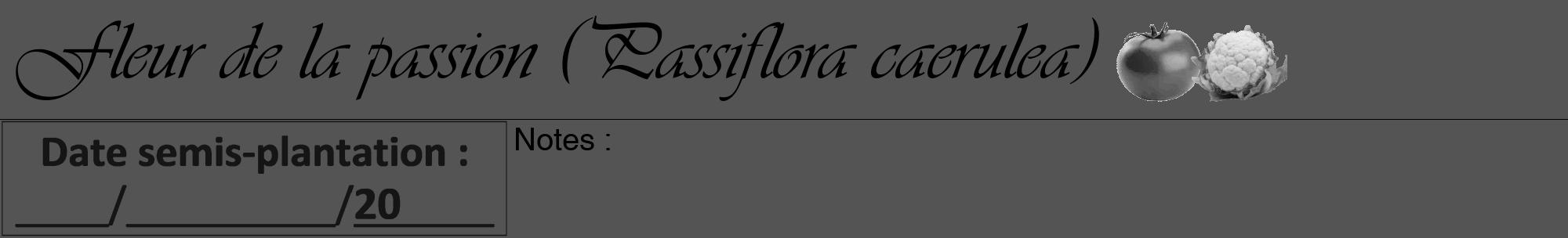 Étiquette de : Passiflora caerulea - format a - style noire36viv avec comestibilité simplifiée