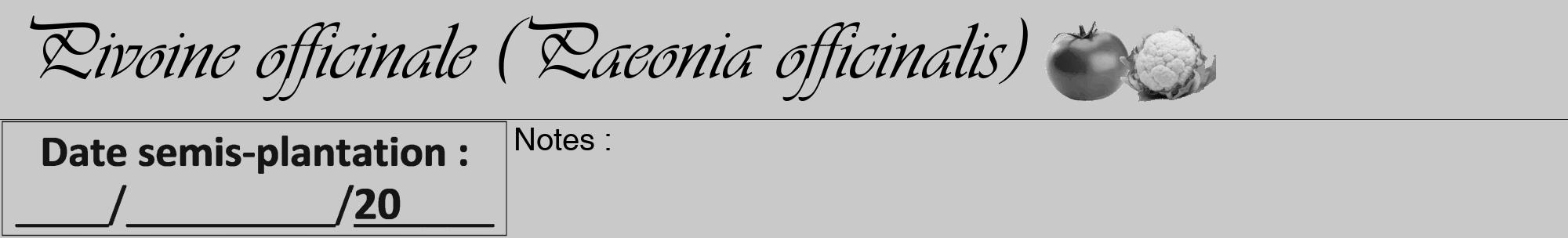 Étiquette de : Paeonia officinalis - format a - style noire54viv avec comestibilité simplifiée