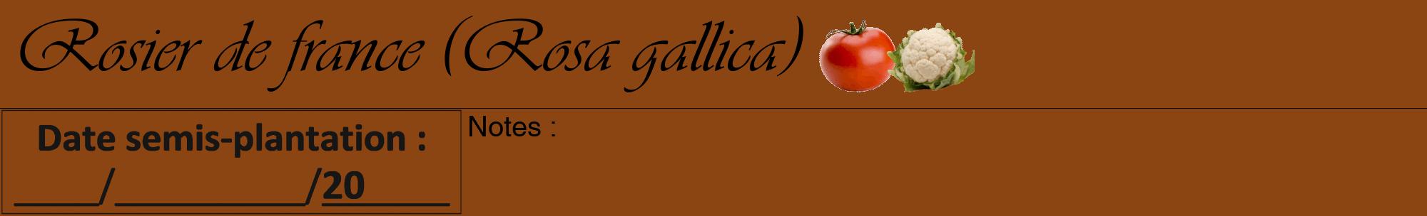 Étiquette de : Rosa gallica - format a - style noire30viv avec comestibilité simplifiée
