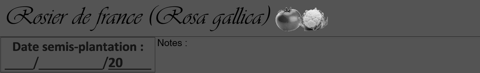 Étiquette de : Rosa gallica - format a - style noire30viv avec comestibilité simplifiée