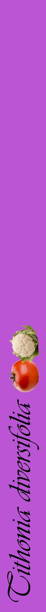 Étiquette de : Tithonia diversifolia - format a - style noire50viv avec comestibilité simplifiée