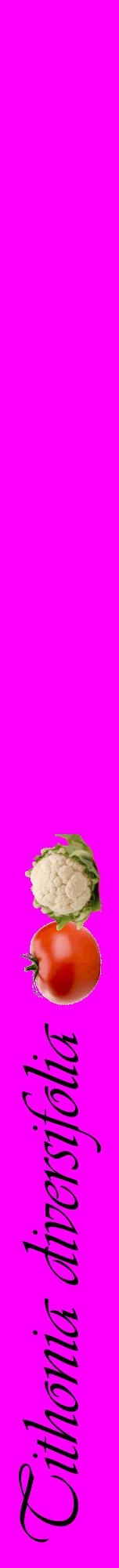 Étiquette de : Tithonia diversifolia - format a - style noire51viv avec comestibilité simplifiée