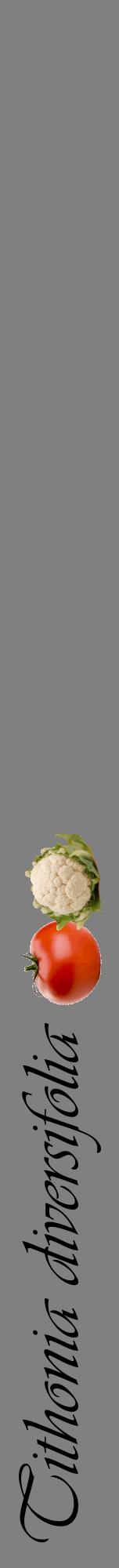 Étiquette de : Tithonia diversifolia - format a - style noire57viv avec comestibilité simplifiée