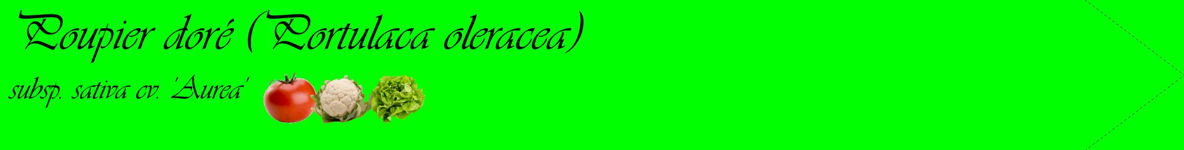 Étiquette de : Portulaca oleracea subsp. sativa cv. 'Aurea' - format c - style noire16simple_basique_basiqueviv avec comestibilité simplifiée