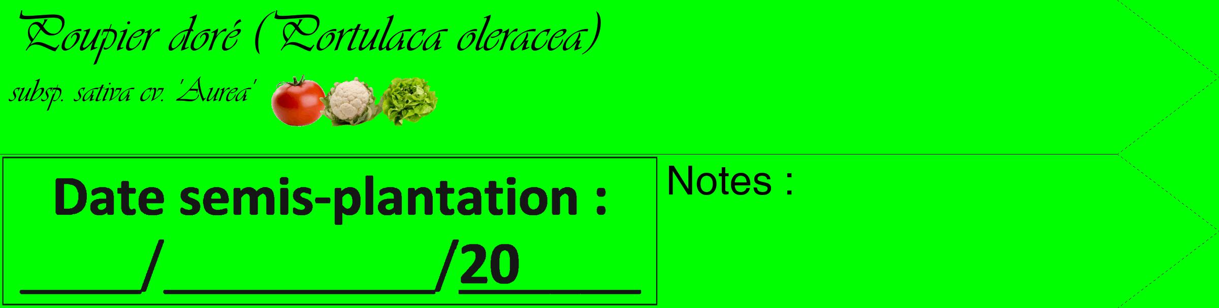 Étiquette de : Portulaca oleracea subsp. sativa cv. 'Aurea' - format c - style noire16simple_basique_basiqueviv avec comestibilité simplifiée