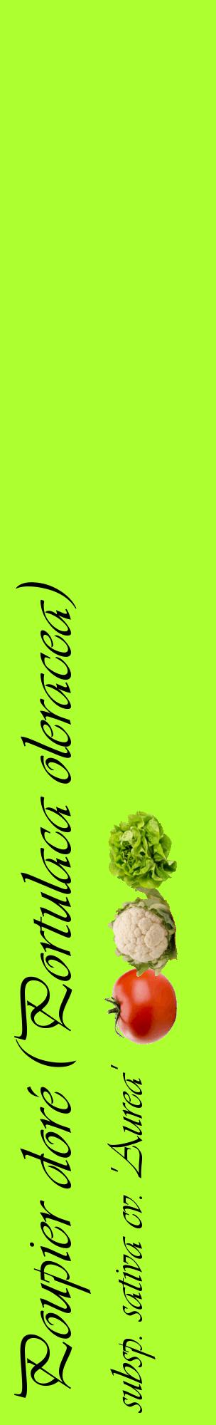 Étiquette de : Portulaca oleracea subsp. sativa cv. 'Aurea' - format c - style noire17_basiqueviv avec comestibilité simplifiée