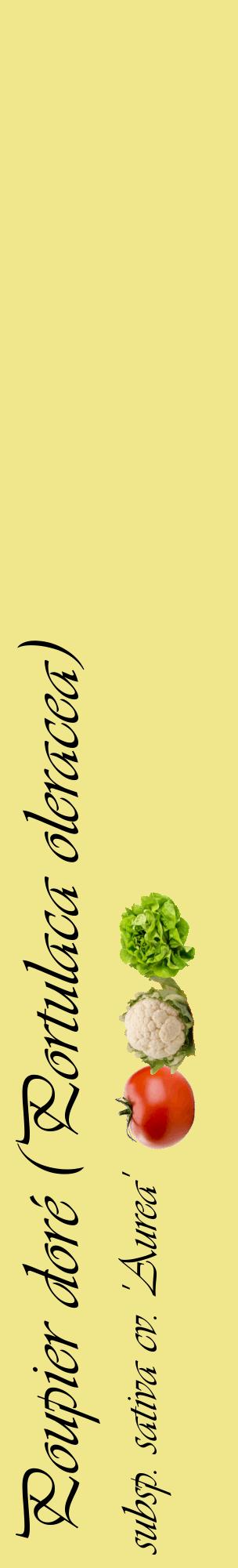 Étiquette de : Portulaca oleracea subsp. sativa cv. 'Aurea' - format c - style noire20_basiqueviv avec comestibilité simplifiée