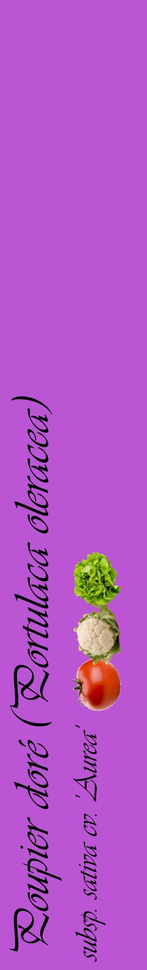 Étiquette de : Portulaca oleracea subsp. sativa cv. 'Aurea' - format c - style noire50_basiqueviv avec comestibilité simplifiée