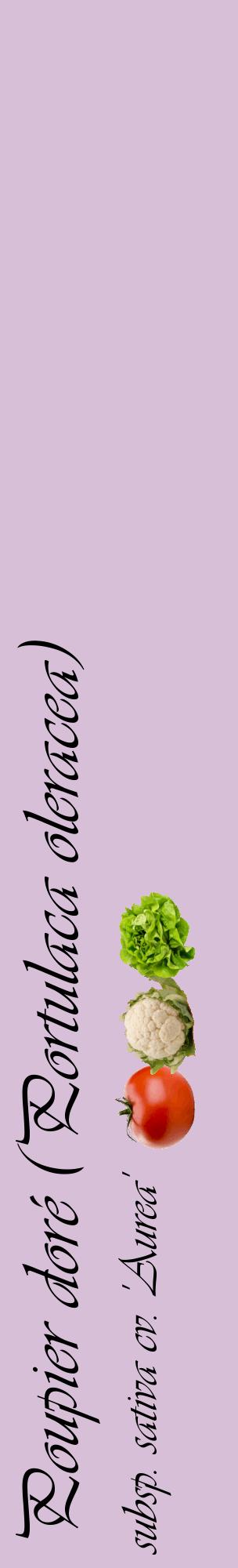 Étiquette de : Portulaca oleracea subsp. sativa cv. 'Aurea' - format c - style noire54_basiqueviv avec comestibilité simplifiée