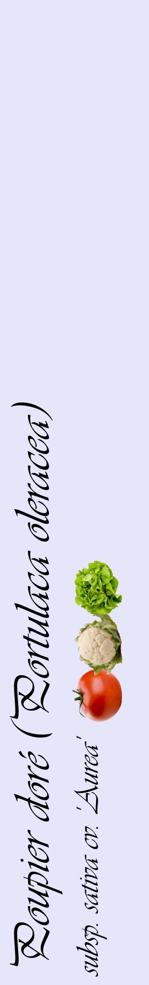 Étiquette de : Portulaca oleracea subsp. sativa cv. 'Aurea' - format c - style noire55_basiqueviv avec comestibilité simplifiée