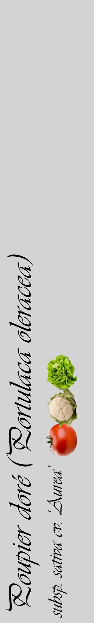 Étiquette de : Portulaca oleracea subsp. sativa cv. 'Aurea' - format c - style noire56_basiqueviv avec comestibilité simplifiée