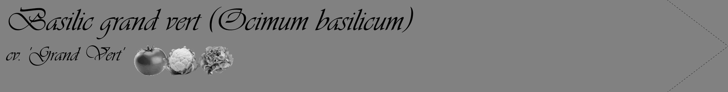 Étiquette de : Ocimum basilicum cv. 'Grand Vert' - format c - style noire50_simple_simpleviv avec comestibilité simplifiée