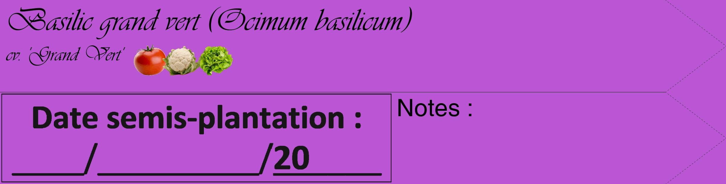Étiquette de : Ocimum basilicum cv. 'Grand Vert' - format c - style noire50_simple_simpleviv avec comestibilité simplifiée