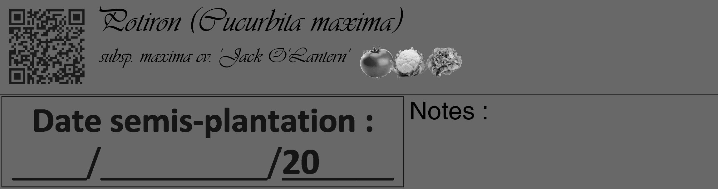 Étiquette de : Cucurbita maxima subsp. maxima cv. 'Jack O'Lantern' - format c - style noire43basique_basique_basiqueviv avec qrcode et comestibilité simplifiée