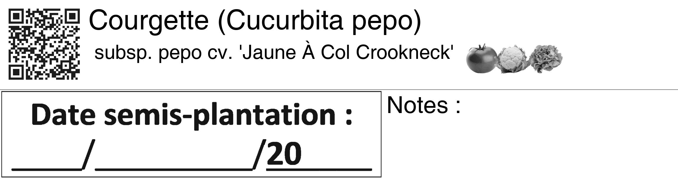 Étiquette de : Cucurbita pepo subsp. pepo cv. 'Jaune À Col Crookneck' - format c - style noire60_basiquegrrvhel avec qrcode et comestibilité simplifiée