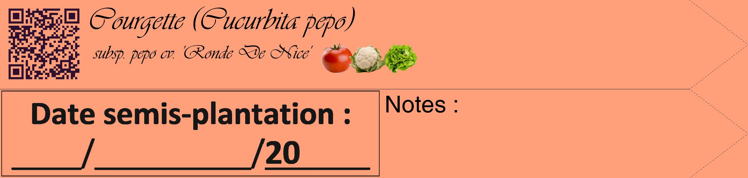Étiquette de : Cucurbita pepo subsp. pepo cv. 'Ronde De Nice' - format c - style noire39simple_basique_basiqueviv avec qrcode et comestibilité simplifiée