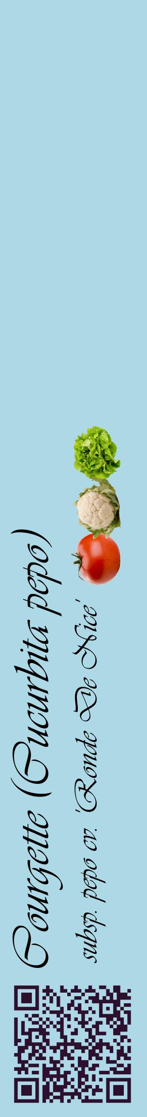 Étiquette de : Cucurbita pepo subsp. pepo cv. 'Ronde De Nice' - format c - style noire0_basiqueviv avec qrcode et comestibilité simplifiée
