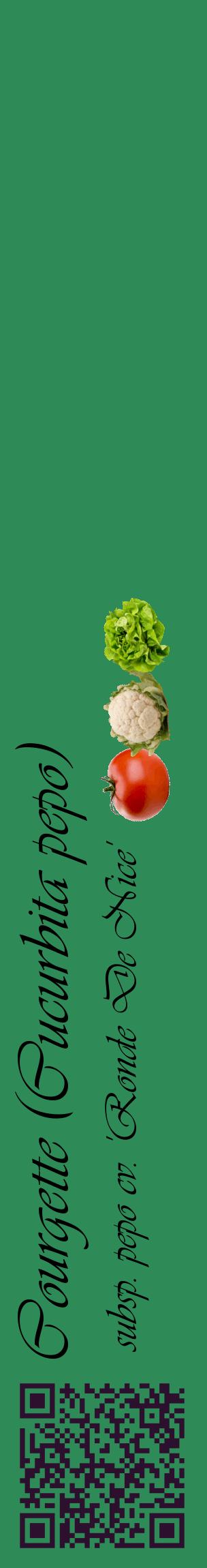 Étiquette de : Cucurbita pepo subsp. pepo cv. 'Ronde De Nice' - format c - style noire11_basiqueviv avec qrcode et comestibilité simplifiée