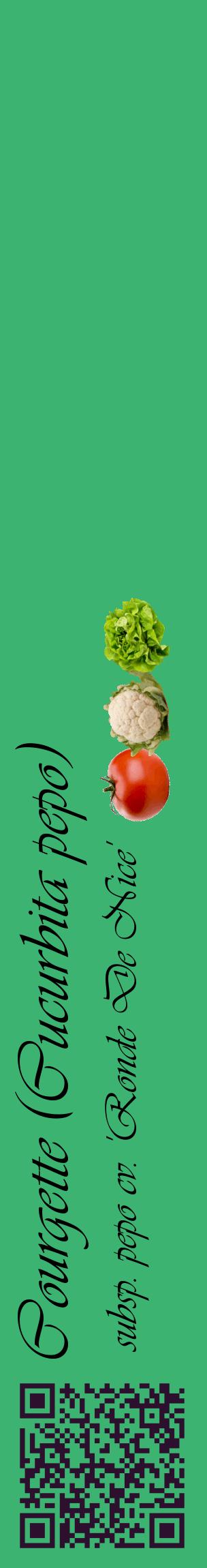 Étiquette de : Cucurbita pepo subsp. pepo cv. 'Ronde De Nice' - format c - style noire12_basiqueviv avec qrcode et comestibilité simplifiée
