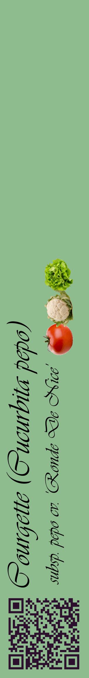 Étiquette de : Cucurbita pepo subsp. pepo cv. 'Ronde De Nice' - format c - style noire13_basiqueviv avec qrcode et comestibilité simplifiée