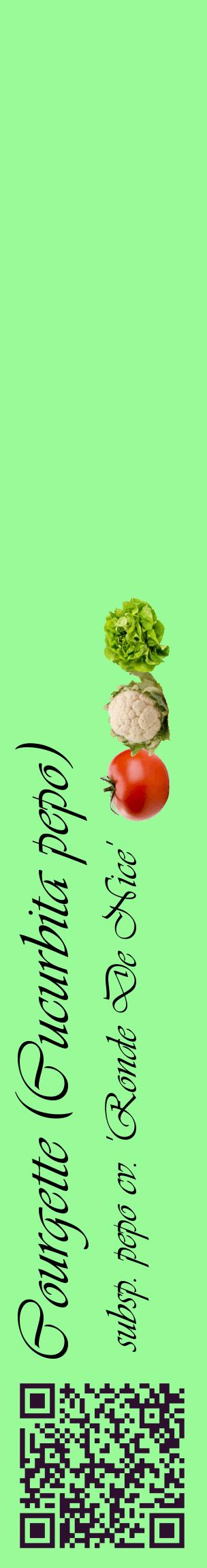 Étiquette de : Cucurbita pepo subsp. pepo cv. 'Ronde De Nice' - format c - style noire14_basiqueviv avec qrcode et comestibilité simplifiée