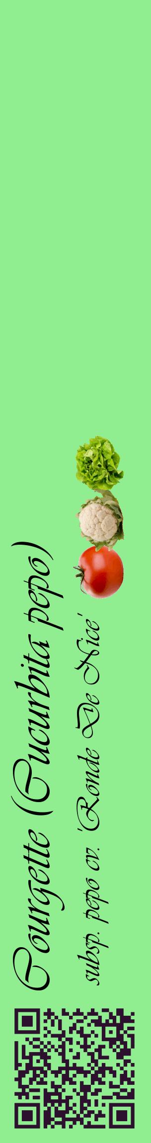 Étiquette de : Cucurbita pepo subsp. pepo cv. 'Ronde De Nice' - format c - style noire15_basiqueviv avec qrcode et comestibilité simplifiée