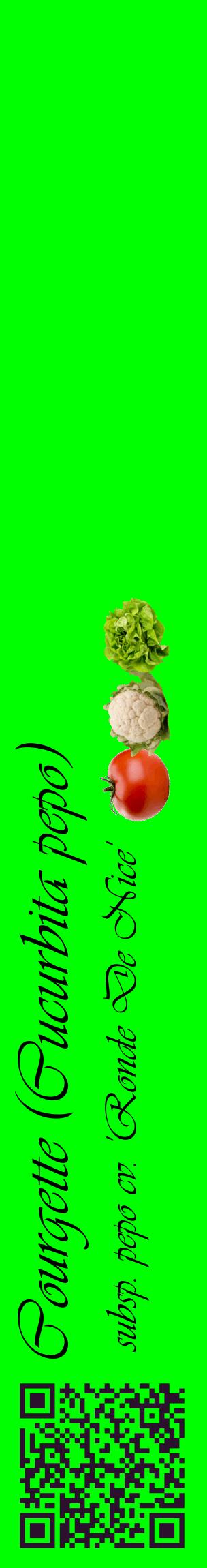 Étiquette de : Cucurbita pepo subsp. pepo cv. 'Ronde De Nice' - format c - style noire16_basiqueviv avec qrcode et comestibilité simplifiée