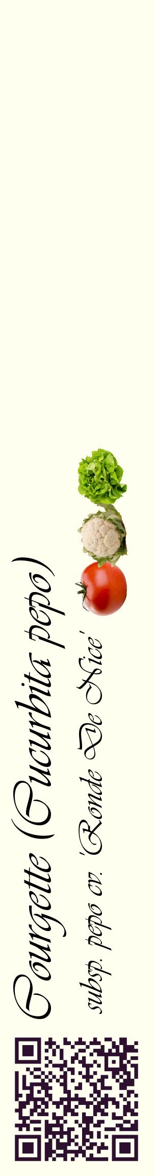 Étiquette de : Cucurbita pepo subsp. pepo cv. 'Ronde De Nice' - format c - style noire19_basiqueviv avec qrcode et comestibilité simplifiée