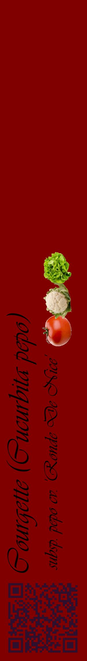 Étiquette de : Cucurbita pepo subsp. pepo cv. 'Ronde De Nice' - format c - style noire29_basiqueviv avec qrcode et comestibilité simplifiée