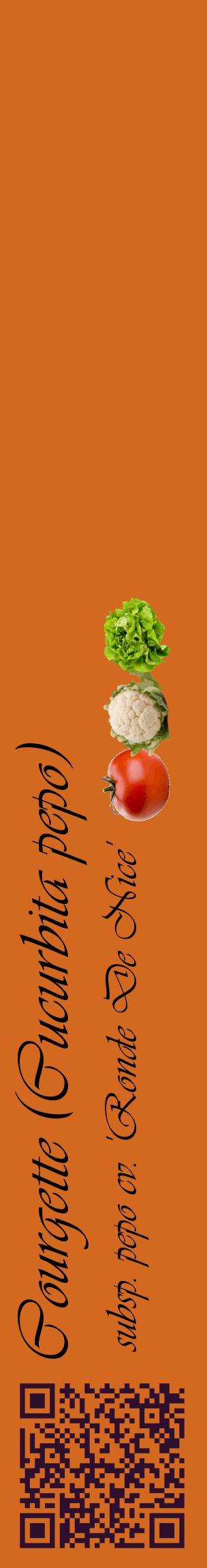 Étiquette de : Cucurbita pepo subsp. pepo cv. 'Ronde De Nice' - format c - style noire31_basiqueviv avec qrcode et comestibilité simplifiée