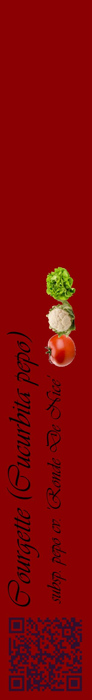 Étiquette de : Cucurbita pepo subsp. pepo cv. 'Ronde De Nice' - format c - style noire34_basiqueviv avec qrcode et comestibilité simplifiée