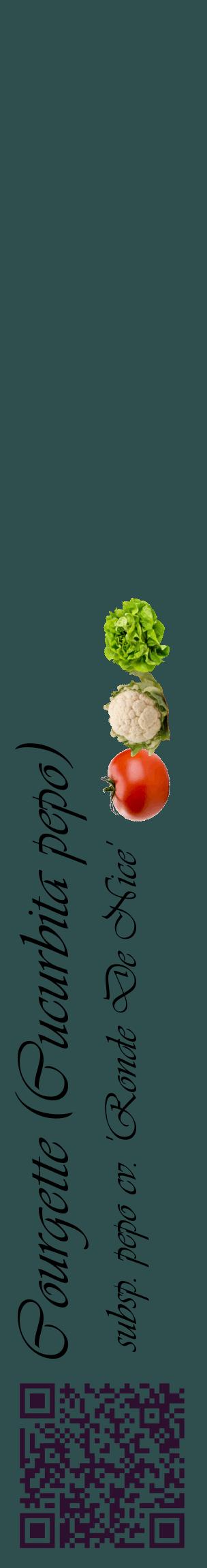 Étiquette de : Cucurbita pepo subsp. pepo cv. 'Ronde De Nice' - format c - style noire58_basiqueviv avec qrcode et comestibilité simplifiée