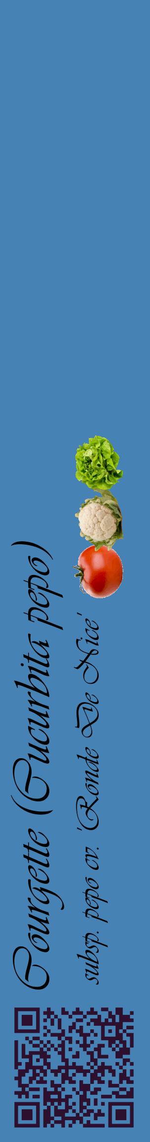 Étiquette de : Cucurbita pepo subsp. pepo cv. 'Ronde De Nice' - format c - style noire5_basiqueviv avec qrcode et comestibilité simplifiée