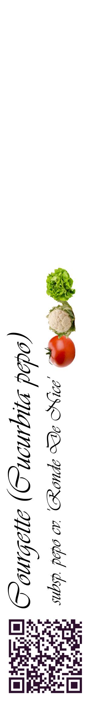 Étiquette de : Cucurbita pepo subsp. pepo cv. 'Ronde De Nice' - format c - style noire60_basiqueviv avec qrcode et comestibilité simplifiée
