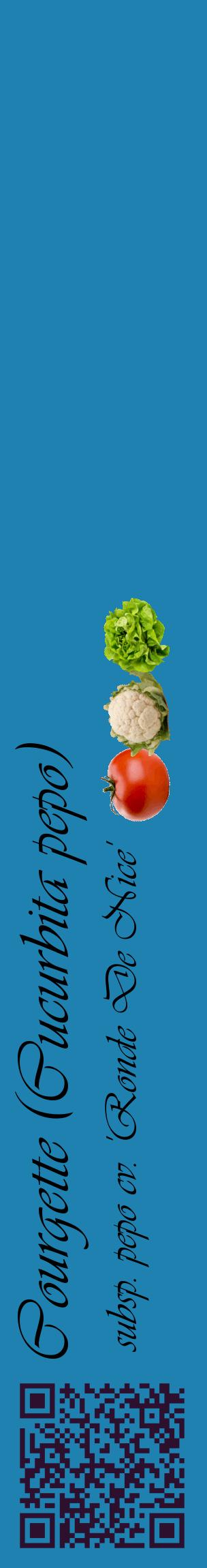 Étiquette de : Cucurbita pepo subsp. pepo cv. 'Ronde De Nice' - format c - style noire6_basiqueviv avec qrcode et comestibilité simplifiée