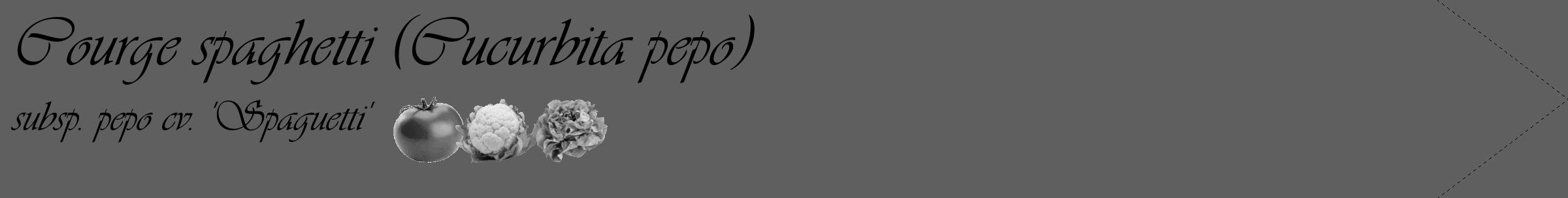 Étiquette de : Cucurbita pepo subsp. pepo cv. 'Spaguetti' - format c - style noire10_simple_simpleviv avec comestibilité simplifiée
