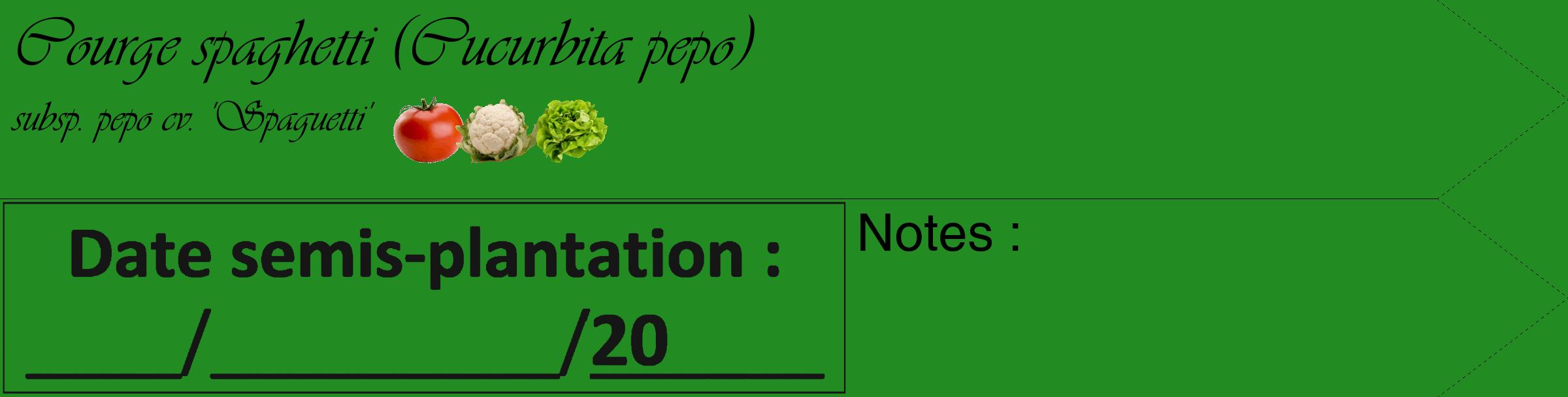 Étiquette de : Cucurbita pepo subsp. pepo cv. 'Spaguetti' - format c - style noire10_simple_simpleviv avec comestibilité simplifiée