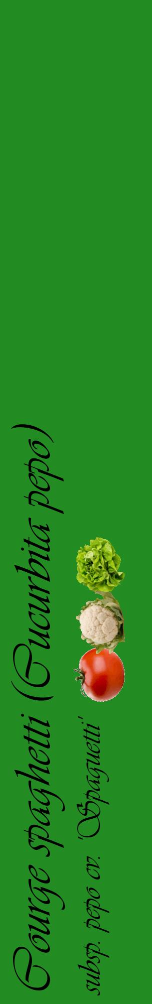 Étiquette de : Cucurbita pepo subsp. pepo cv. 'Spaguetti' - format c - style noire10_basiqueviv avec comestibilité simplifiée