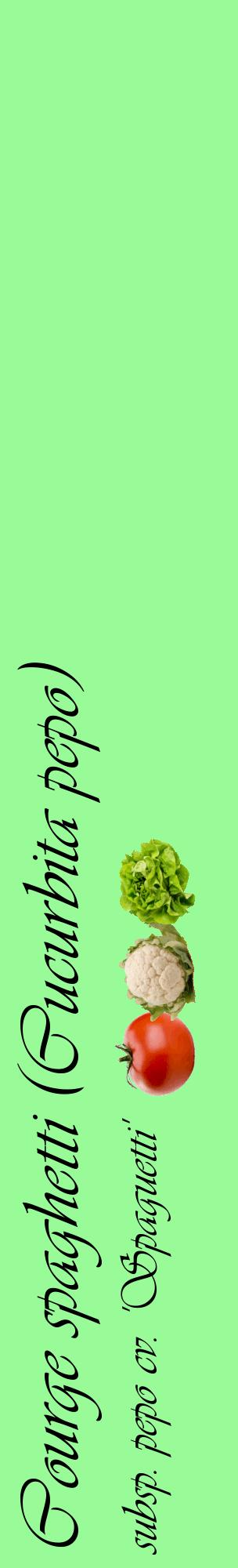 Étiquette de : Cucurbita pepo subsp. pepo cv. 'Spaguetti' - format c - style noire14_basiqueviv avec comestibilité simplifiée
