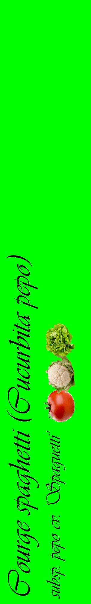 Étiquette de : Cucurbita pepo subsp. pepo cv. 'Spaguetti' - format c - style noire16_basiqueviv avec comestibilité simplifiée