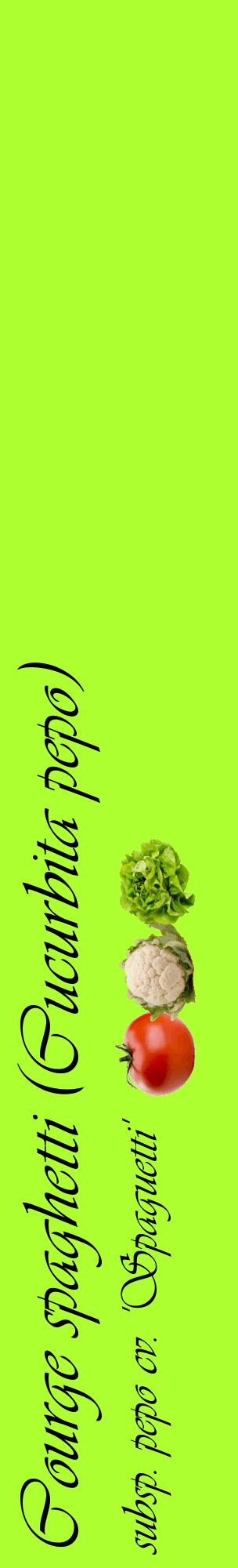 Étiquette de : Cucurbita pepo subsp. pepo cv. 'Spaguetti' - format c - style noire17_basiqueviv avec comestibilité simplifiée