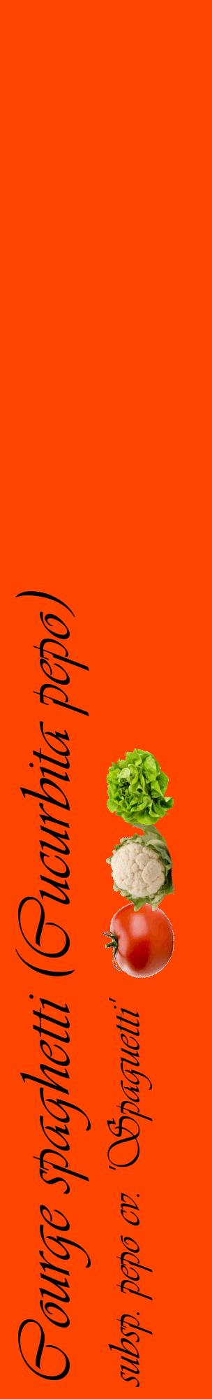 Étiquette de : Cucurbita pepo subsp. pepo cv. 'Spaguetti' - format c - style noire26_basiqueviv avec comestibilité simplifiée