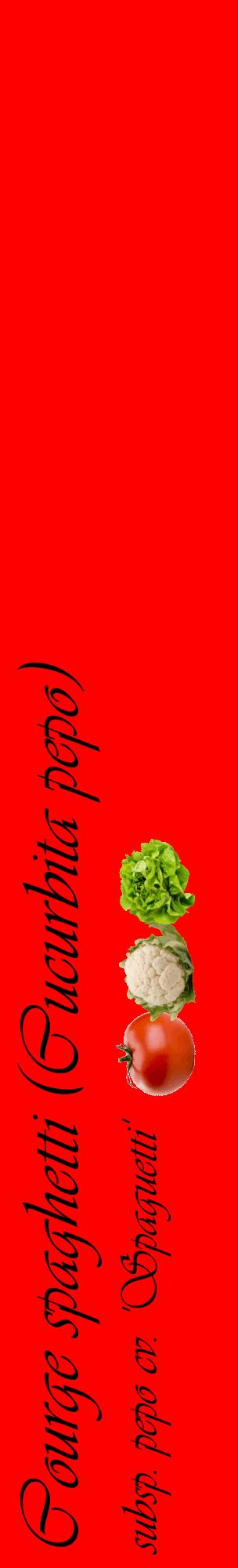 Étiquette de : Cucurbita pepo subsp. pepo cv. 'Spaguetti' - format c - style noire27_basiqueviv avec comestibilité simplifiée