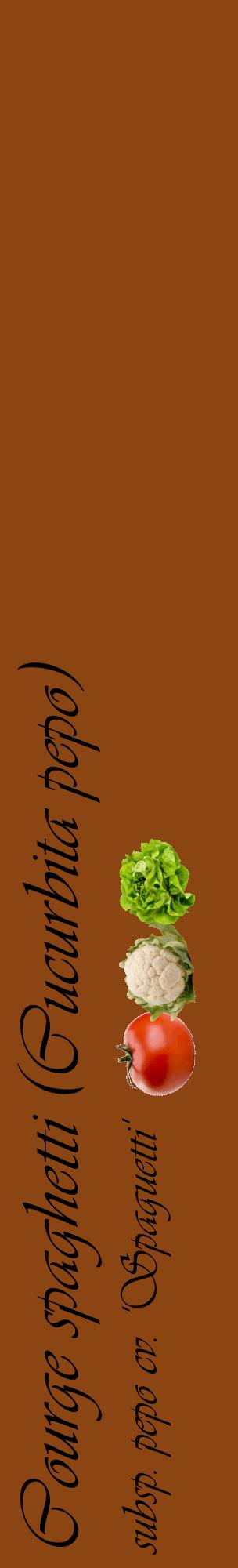 Étiquette de : Cucurbita pepo subsp. pepo cv. 'Spaguetti' - format c - style noire30_basiqueviv avec comestibilité simplifiée