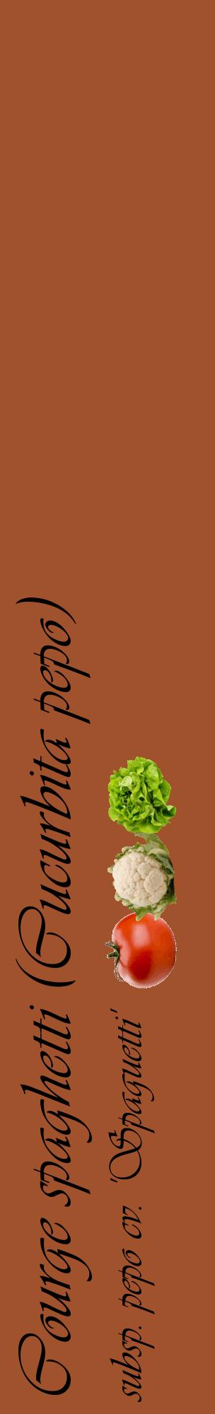 Étiquette de : Cucurbita pepo subsp. pepo cv. 'Spaguetti' - format c - style noire32_basiqueviv avec comestibilité simplifiée