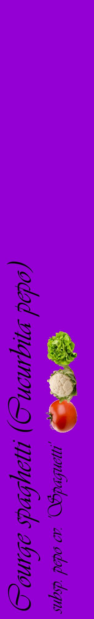 Étiquette de : Cucurbita pepo subsp. pepo cv. 'Spaguetti' - format c - style noire48_basiqueviv avec comestibilité simplifiée