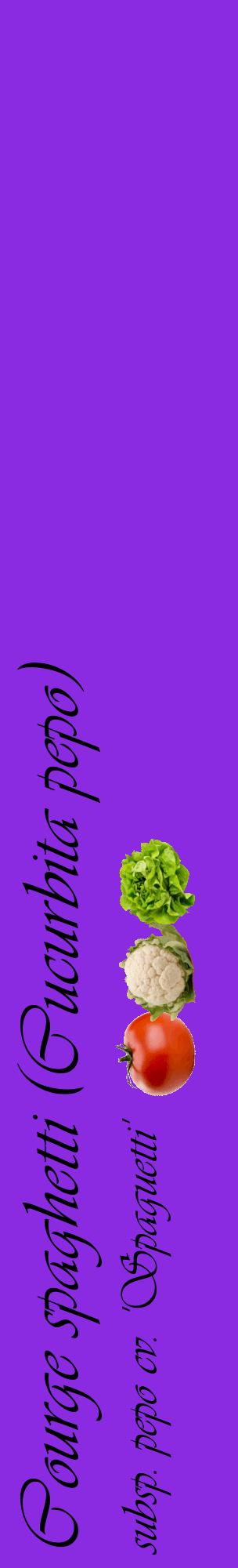Étiquette de : Cucurbita pepo subsp. pepo cv. 'Spaguetti' - format c - style noire49_basiqueviv avec comestibilité simplifiée