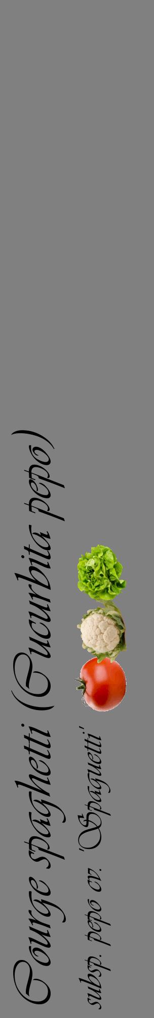 Étiquette de : Cucurbita pepo subsp. pepo cv. 'Spaguetti' - format c - style noire57_basiqueviv avec comestibilité simplifiée