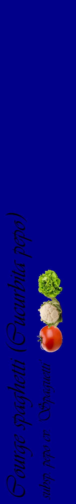 Étiquette de : Cucurbita pepo subsp. pepo cv. 'Spaguetti' - format c - style noire7_basiqueviv avec comestibilité simplifiée