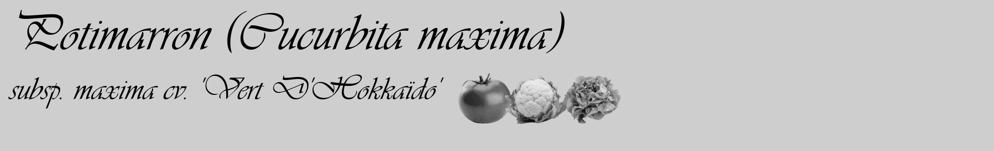 Étiquette de : Cucurbita maxima subsp. maxima cv. 'Vert D'Hokkaïdo' - format c - style noire17basique_basique_basiqueviv avec comestibilité simplifiée